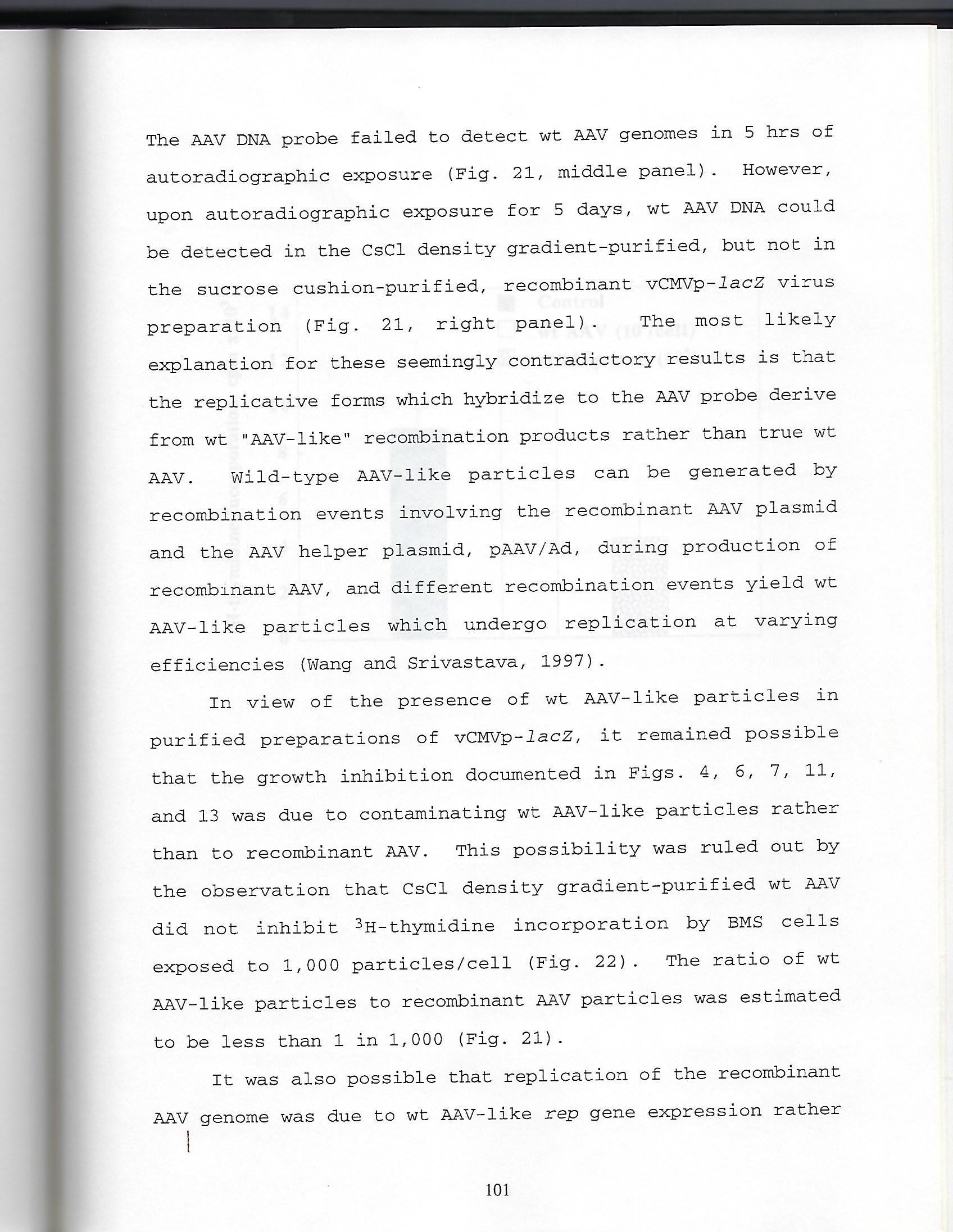 thesis concl wt like AAV.jpg