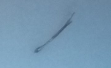 20181102_084359 cropped sized to 5 low 72 res