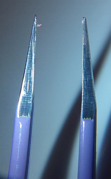 20181208_204917 crop JPEG low 72 res