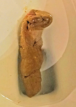 DSC03719 rotate crop adjust JPEG smart fix JPEG low resolution