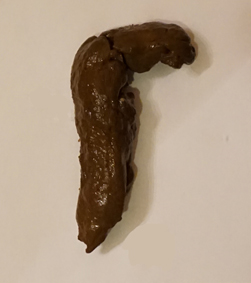 DSC04477 feces rotate crop drops removed flattened JPEG low resolution