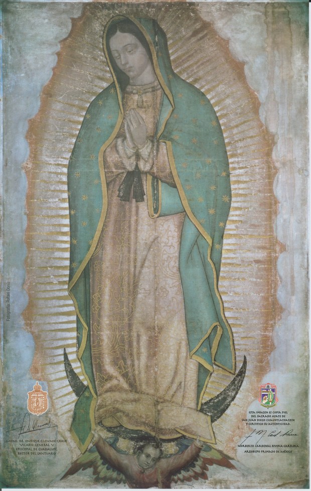 Our Lady of Guadalupe crop